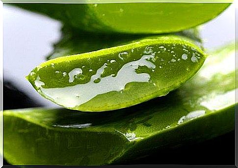 The best benefits of Aloe vera