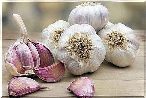 The benefits of garlic 