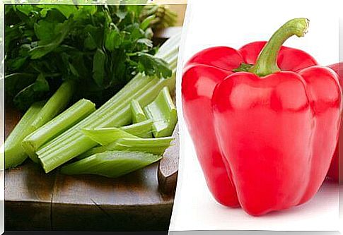 juice for pain in the sciatic nerve: celery and pepper