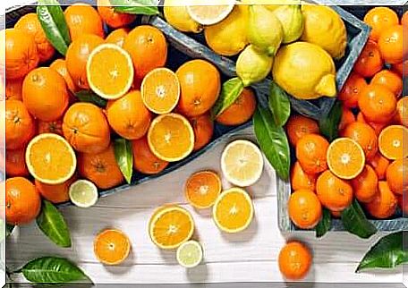 Assortment of citrus fruits. 