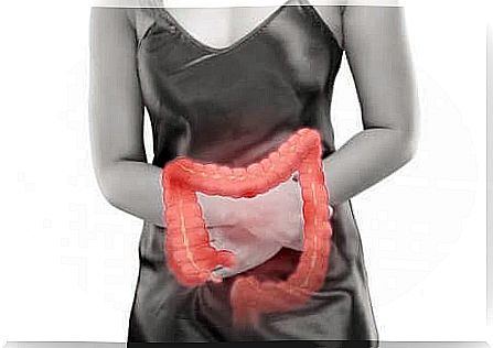 The large intestine in a woman.