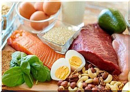 Foods rich in healthy fats and proteins. 