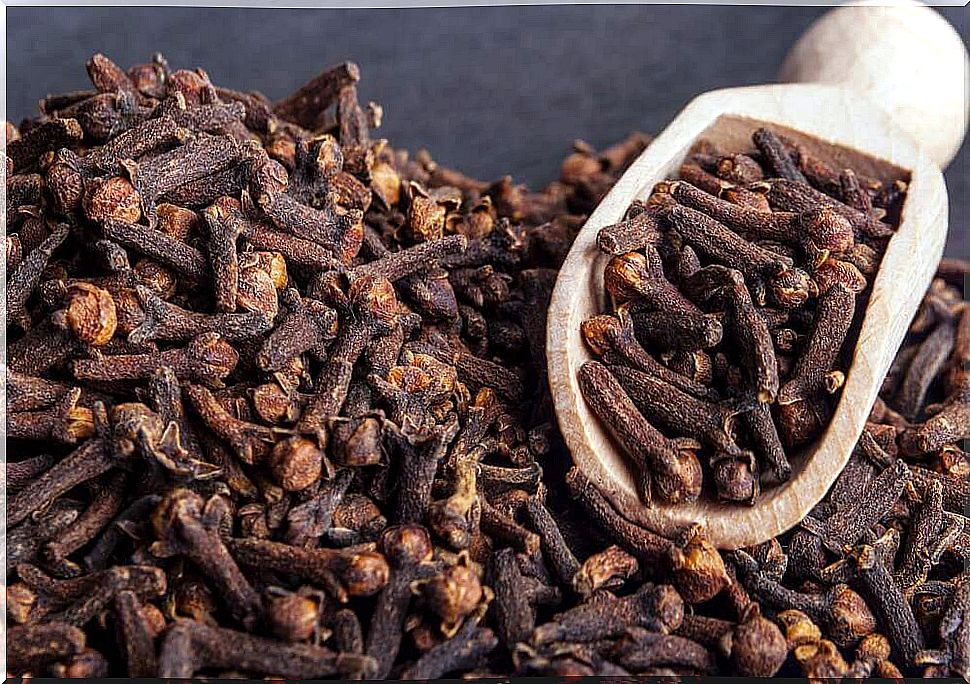 Cloves fight stomach inflammation