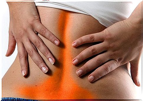 Causes of low back pain.